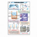Purification of Water